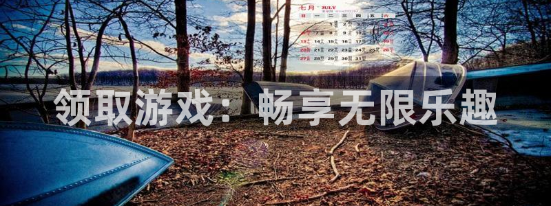 雷火电竞注册方法：领取游戏：畅享无限乐趣