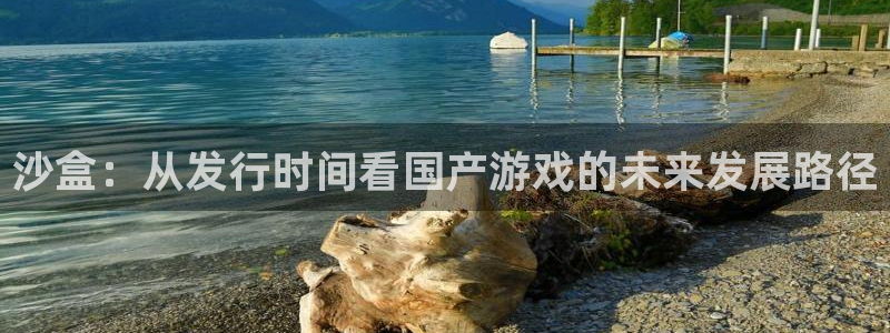 雷火竞技子寓意：沙盒：从发行时间看国产游戏的未来发展路径