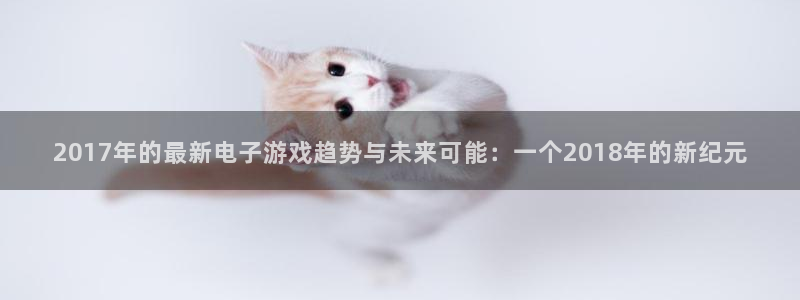 雷火竞技子年度最佳图书：2017年的最新电子游戏趋势与未来可能：一个2018年的新纪元