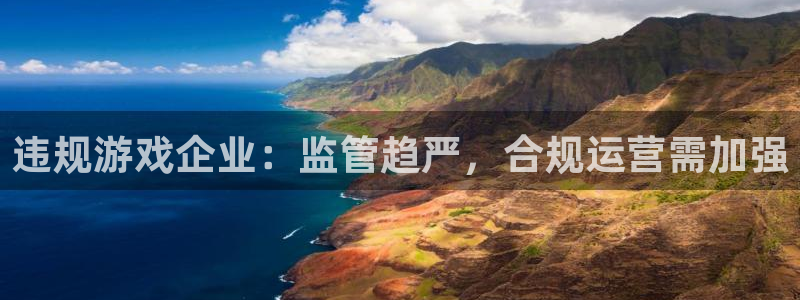 雷火竞技子经理人读后感：违规游戏企业：监管趋严，合规运营需加强