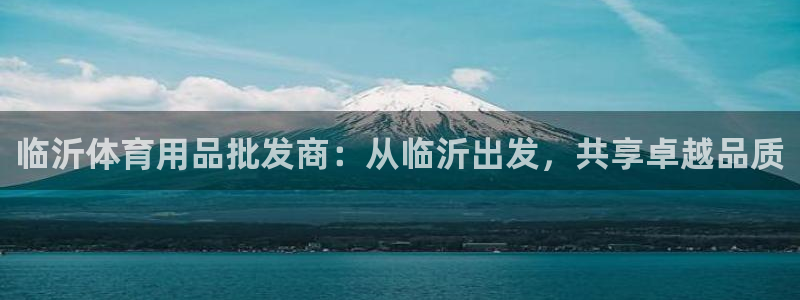 xc体育：临沂体育用品批发商：从临沂出发，共享卓越品质