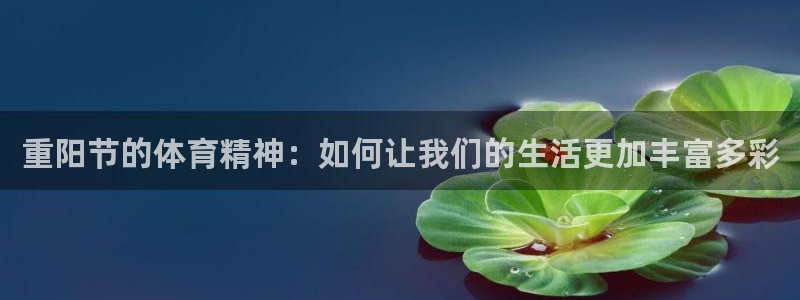 xc体育app官方网站