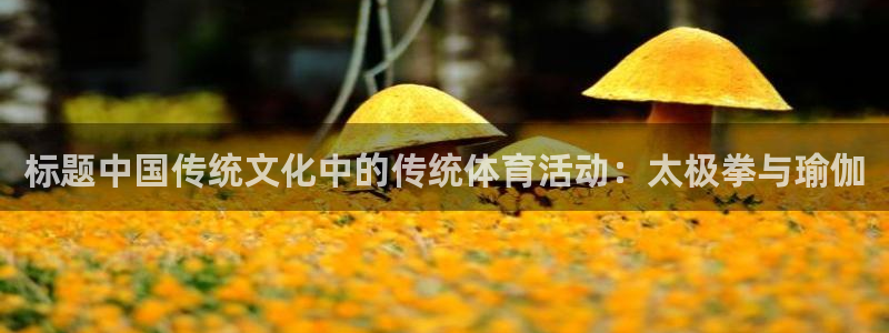 xc体育app官方网站