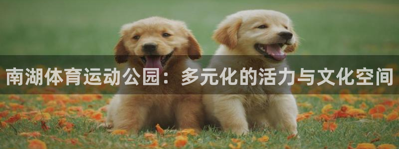 xc体育app官方网站：南湖体育运动公园：多元化的活力与文化空间