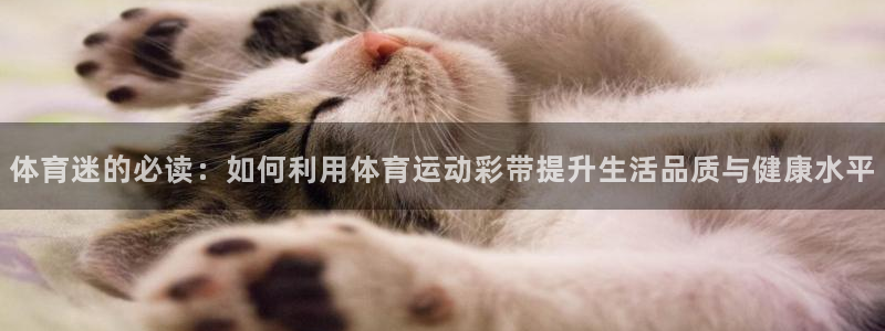 xc体育app官方网站：体育迷的必读：如何利用体育运动彩带提升生活品质与健康水平
