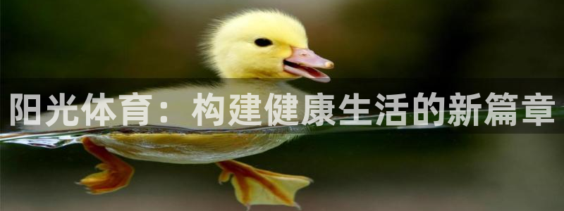 xc体育：阳光体育：构建健康生活的新篇章