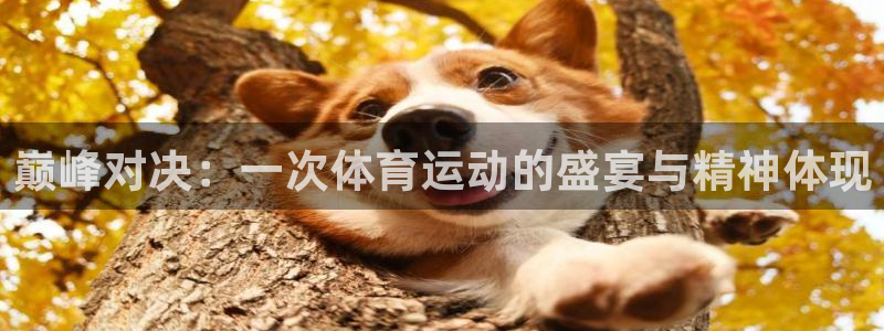 xc体育